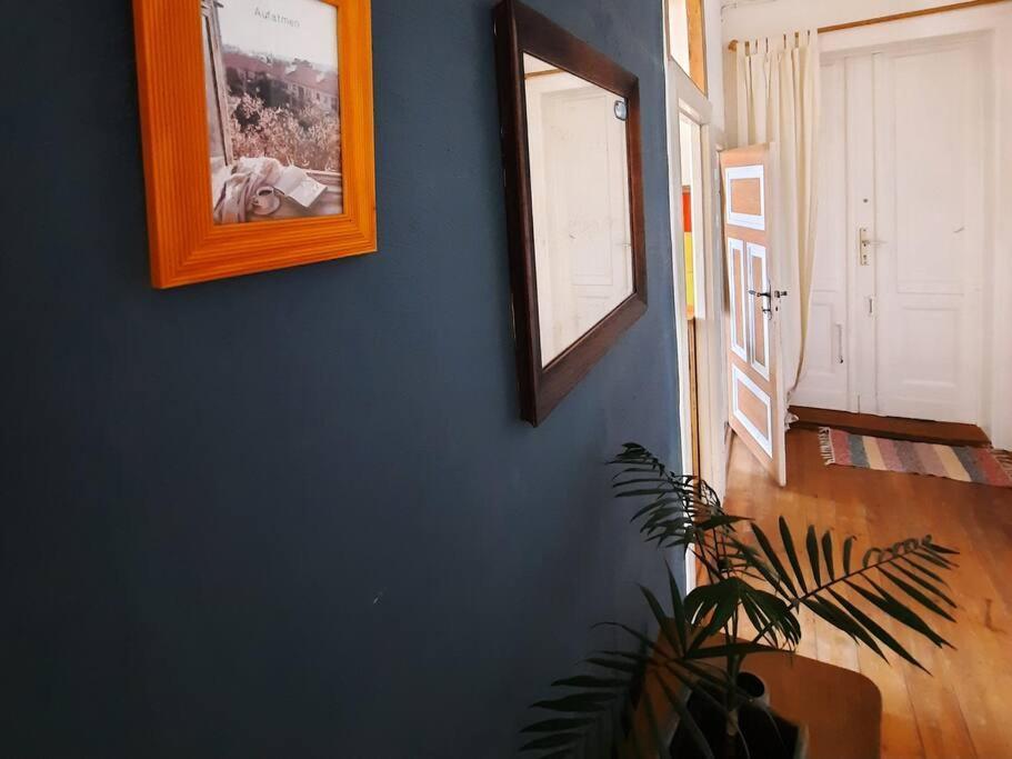 Altbau Charme & Mittendrin شترالسوند المظهر الخارجي الصورة
